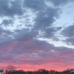 Meet your Posher, Carly